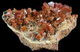 Ruby Red Vanadinite Crystals - Large Crystals #51309-1